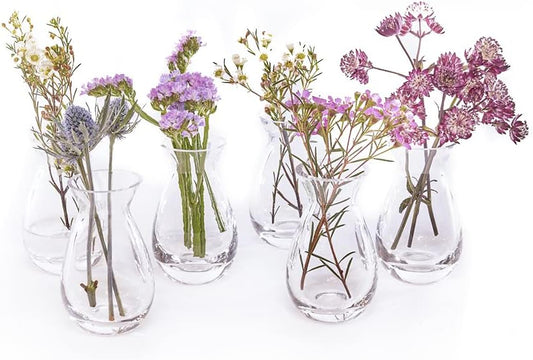 CHIVE ‘George’ Glass Bottle Flower Vases — Set of 6 — Small, Elegant Clear Glass Bud Vases — Bulk Pack for Home Decor & Table Centerpieces — Shape 2 (Oval, 5" Tall, 2.5" Wide)