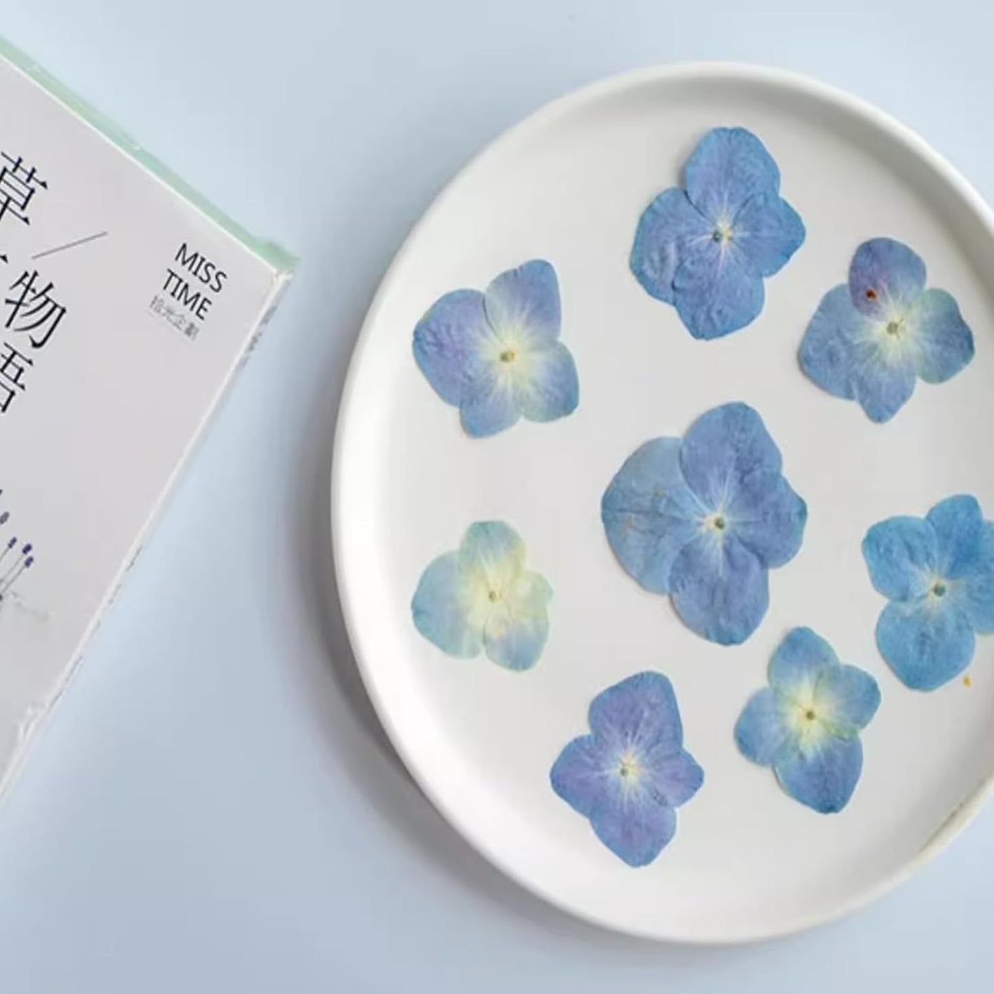 48 Pcs Dried Pressed Flowers for Resin DIY Art Crafts Natural Dry Hydrangea Floral Epoxy Jewelry Real Flower Decor Cakes Phone Cases Candles Handmade Soap Hydrangea