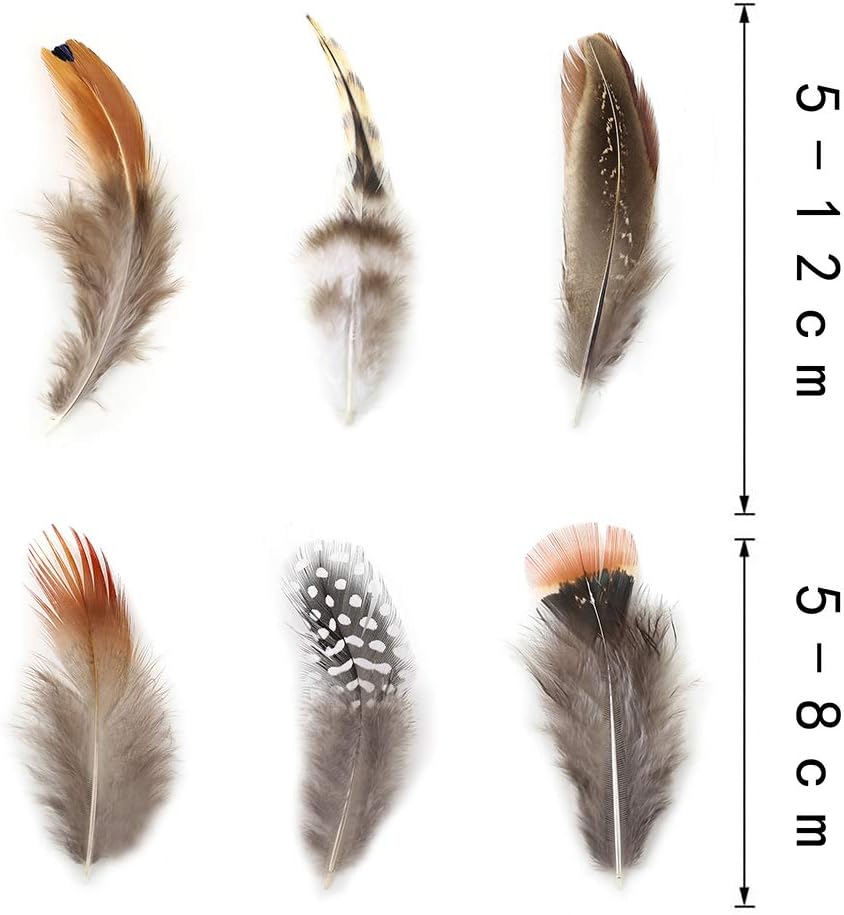180pcs 9 Styled Natural Feathers Assorted Mixed Feathers for Jewelry and Dream Catcher Crafts