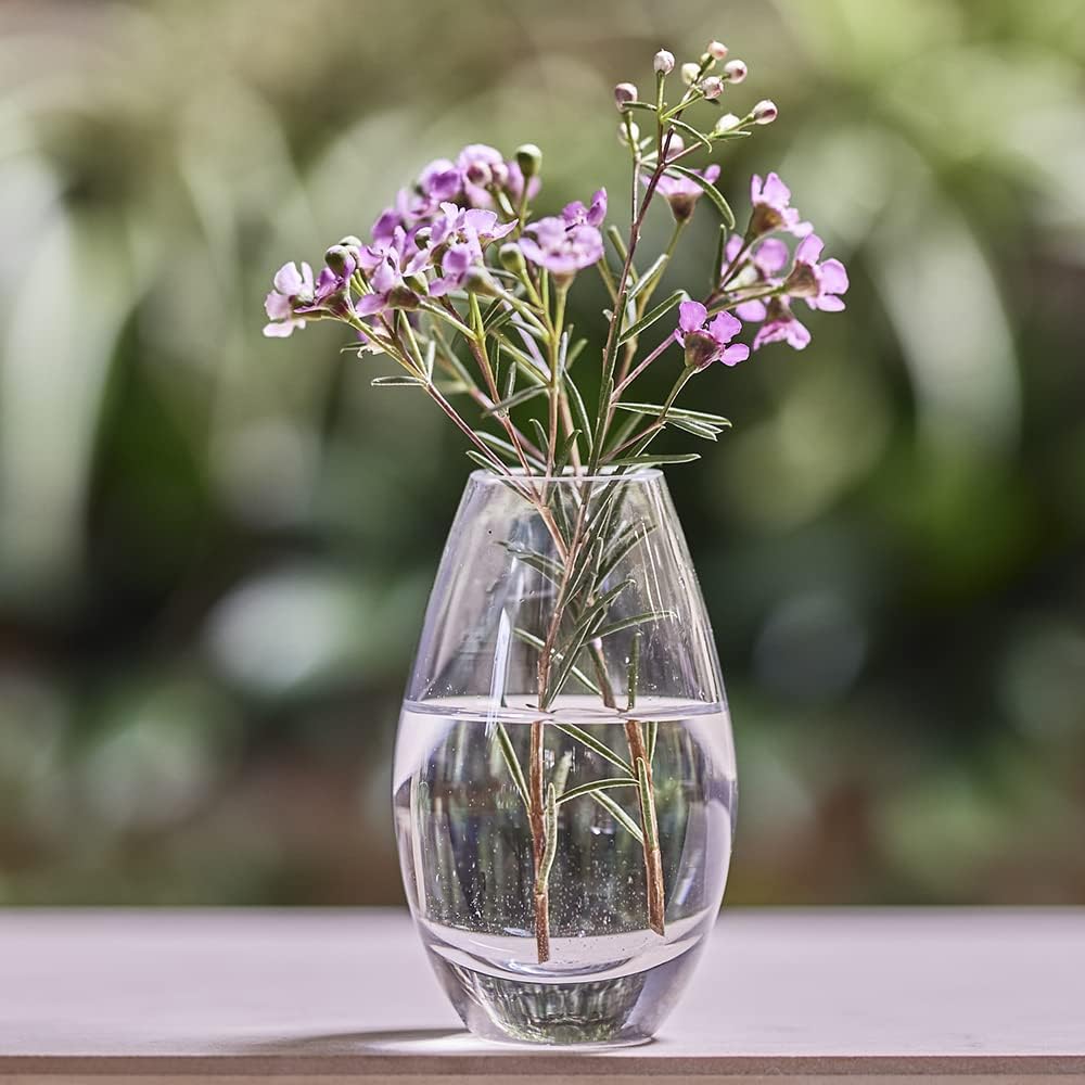 CHIVE ‘George’ Glass Bottle Flower Vases — Set of 6 — Small, Elegant Clear Glass Bud Vases — Bulk Pack for Home Decor & Table Centerpieces — Shape 5 (Oval, 5” Tall, 2.5” Wide)
