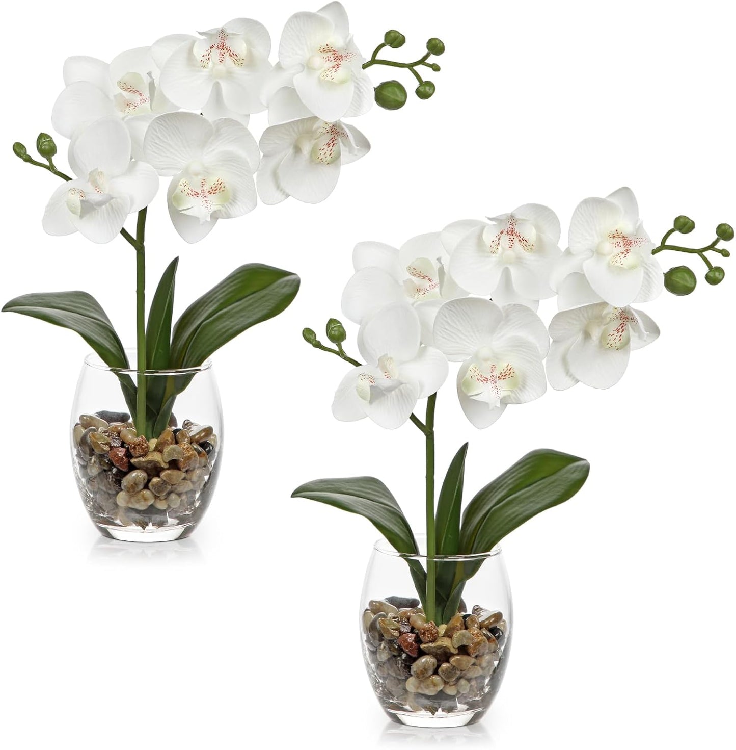 White Orchids Artificial Flowers with Vase, Small Faux Orchid Arrangement Set of 2 Fake Flowers in Glass Vases Small White Centerpieces for Kitchen Dining Room Tables Bathroom Nightstand Shelf Decor