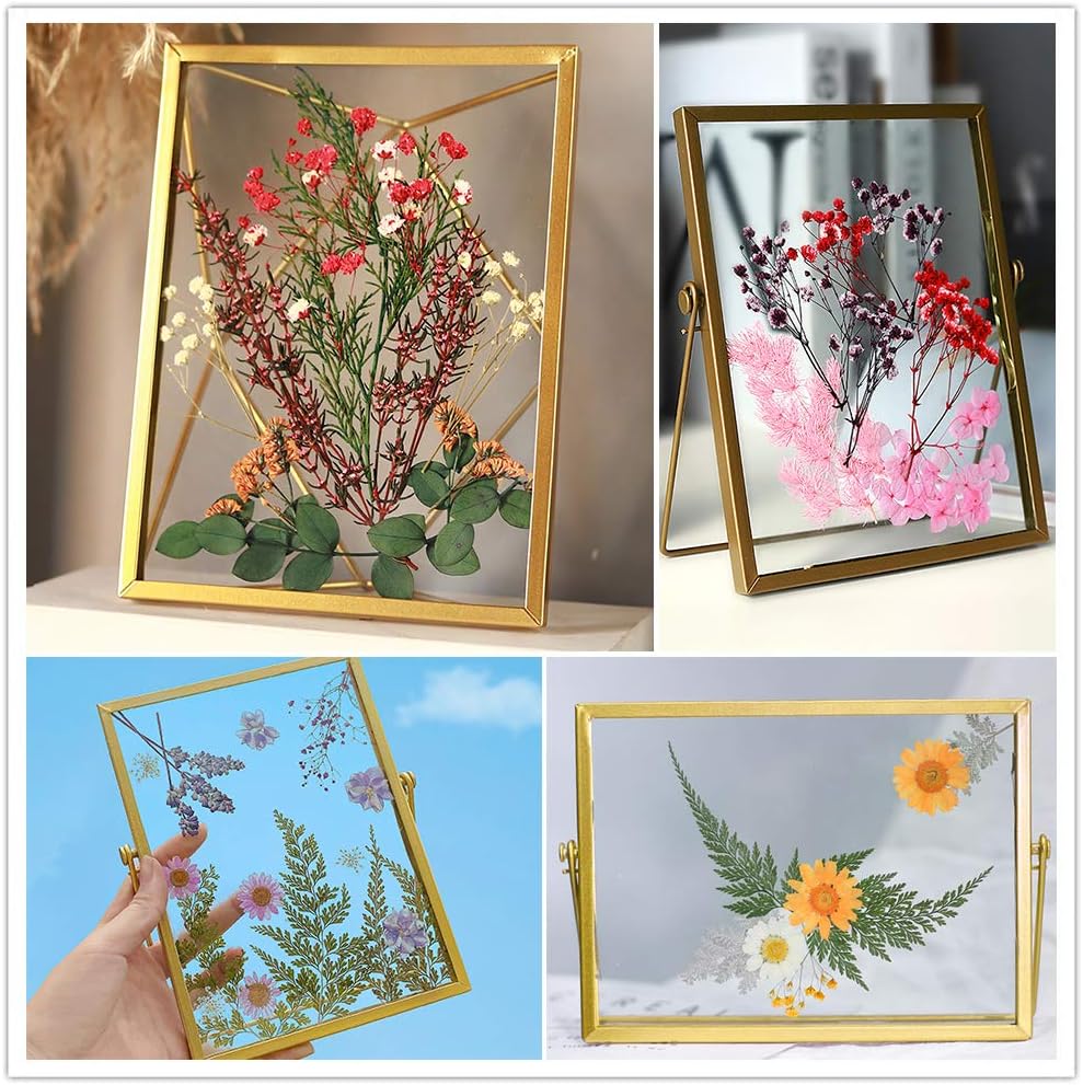 Vignee Real Dried Pressed Leaf Flowers-Multiple Colorful Pressed Flowers Daisies for Craft Resin Jewelry Making Art Craft DIY and Soap Candle Scrapbooking DIY Resin（Light Pink）