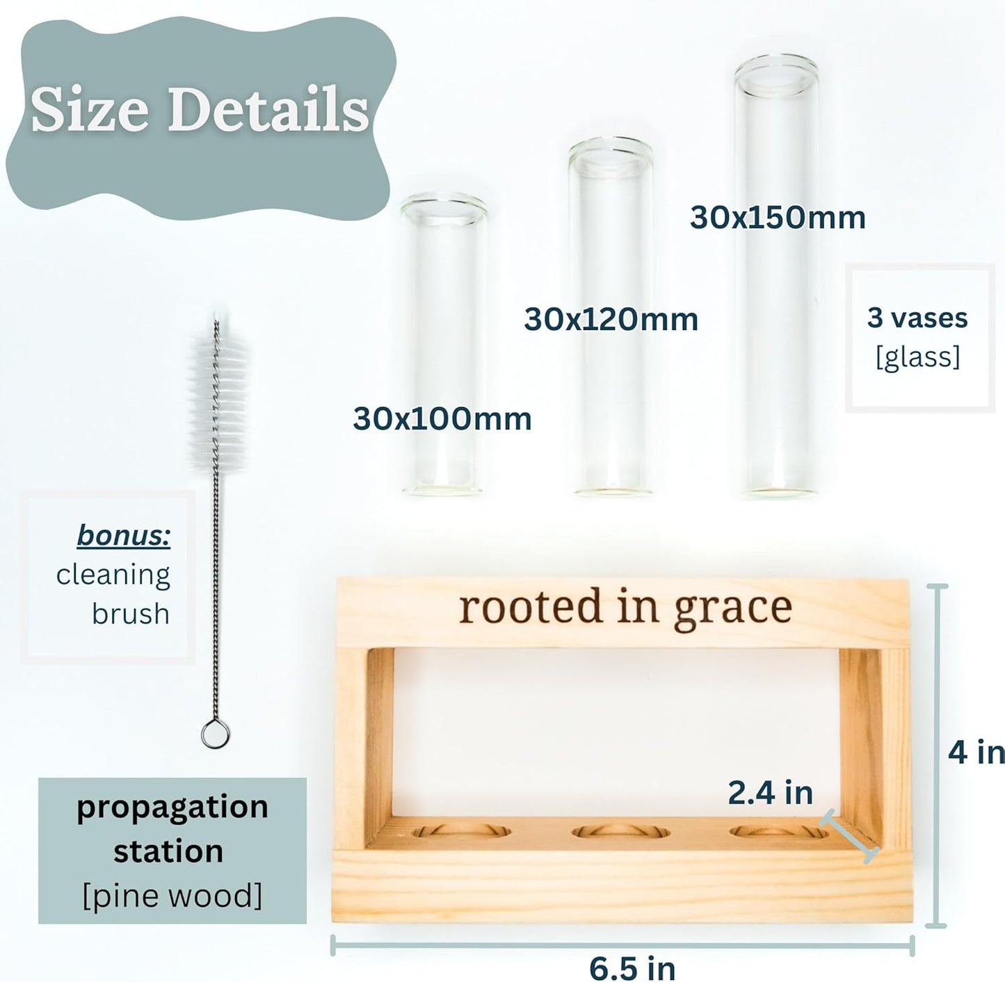 Rooted in Grace: Plant Propagation Stations: Plant Cutting Holder w/ 3 Glass Propagation Vases, Unique & Encouraging Christian Gifts for Women, Faith-Inspired Home Decor