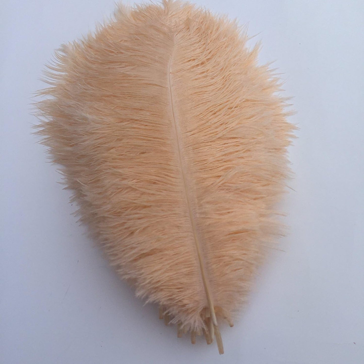 KOLIGHT 40pcs 12''~14''(30~35cm) Natural Ostrich Feathers for DIY Home Wedding Party Office Decoration (Champagne)