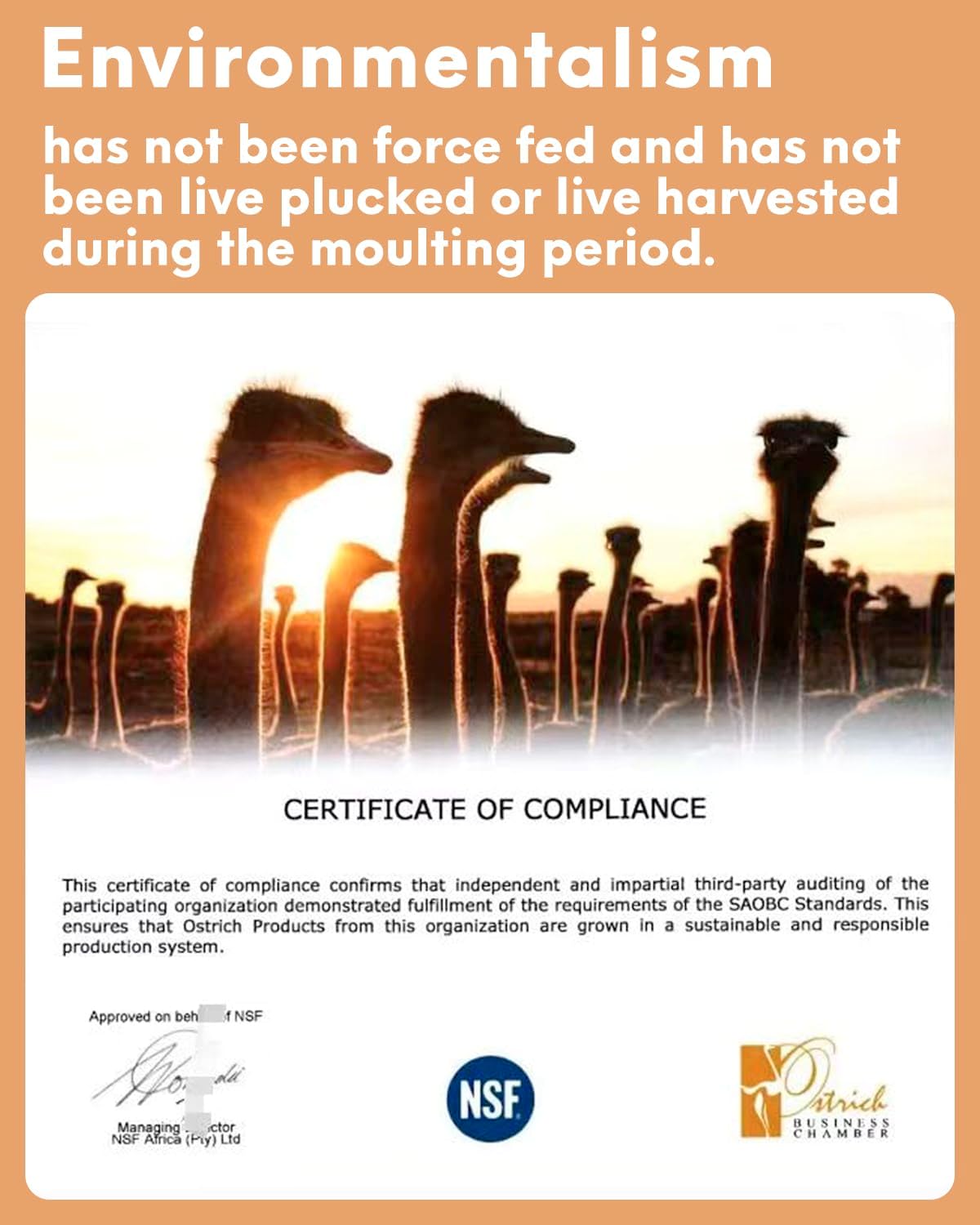 NEWONG 30pcs Rouge Pink Ostrich Feathers Natural Bulk 11-14inch(28-35cm) Vase Craft Wedding Home Party Centerpieces Christmas Day Decoration