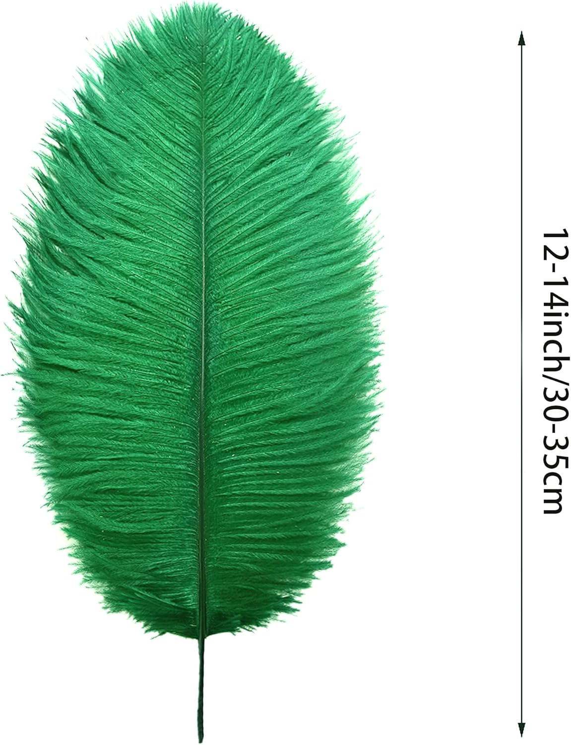 Ballinger Green Large Ostrich Feathers - 12pcs 12-14inch Feathers for Vase, Wedding Party Centerpieces Mardi Gras Decorations and Home Decor(Green)