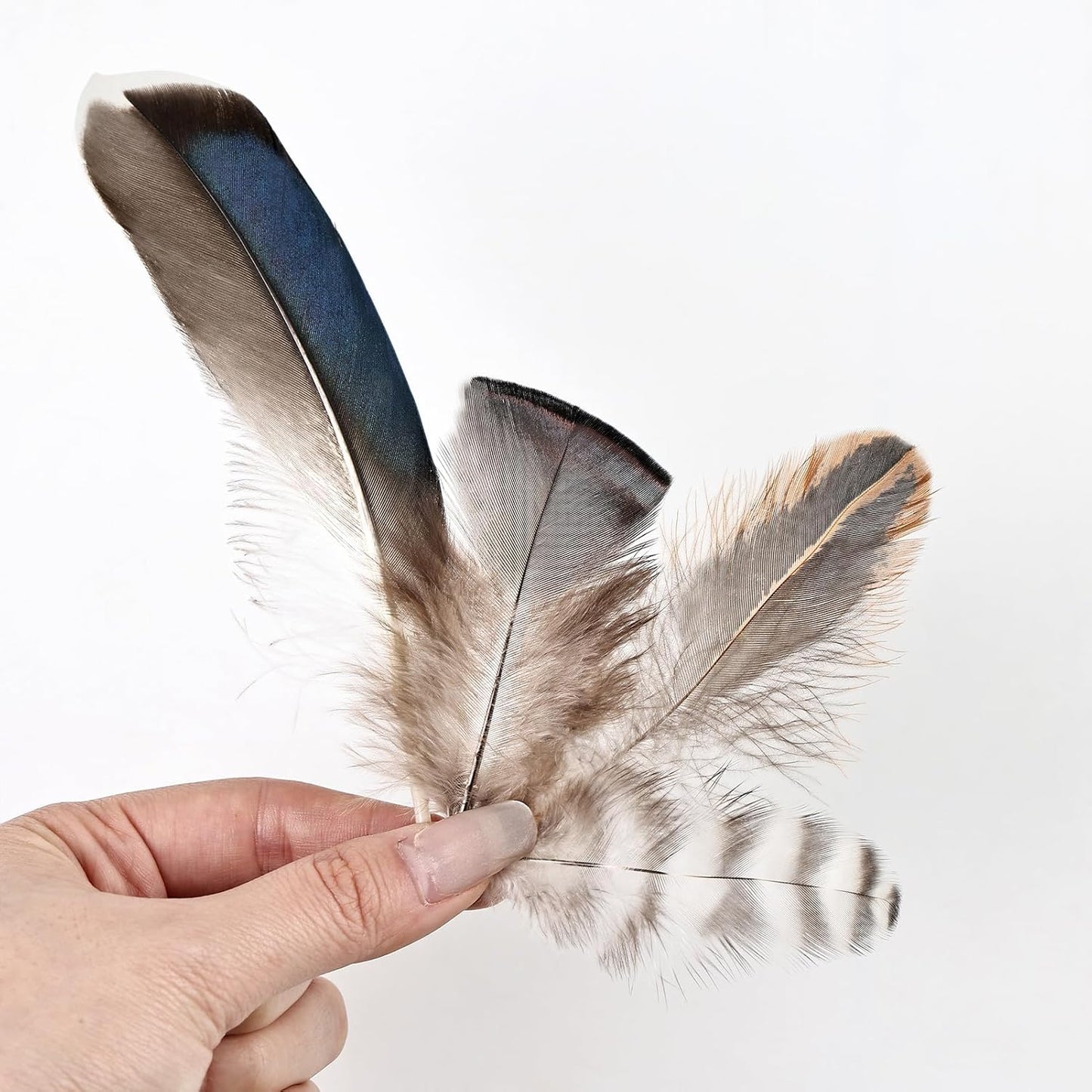 MAOFENG 120pcs 7 Styles Natural Bulk Feathers Assorted Mixed Feathers for DIY Crafts Dream Catcher Wedding Hair Hats Decoration,Guinea Fowl Feathers