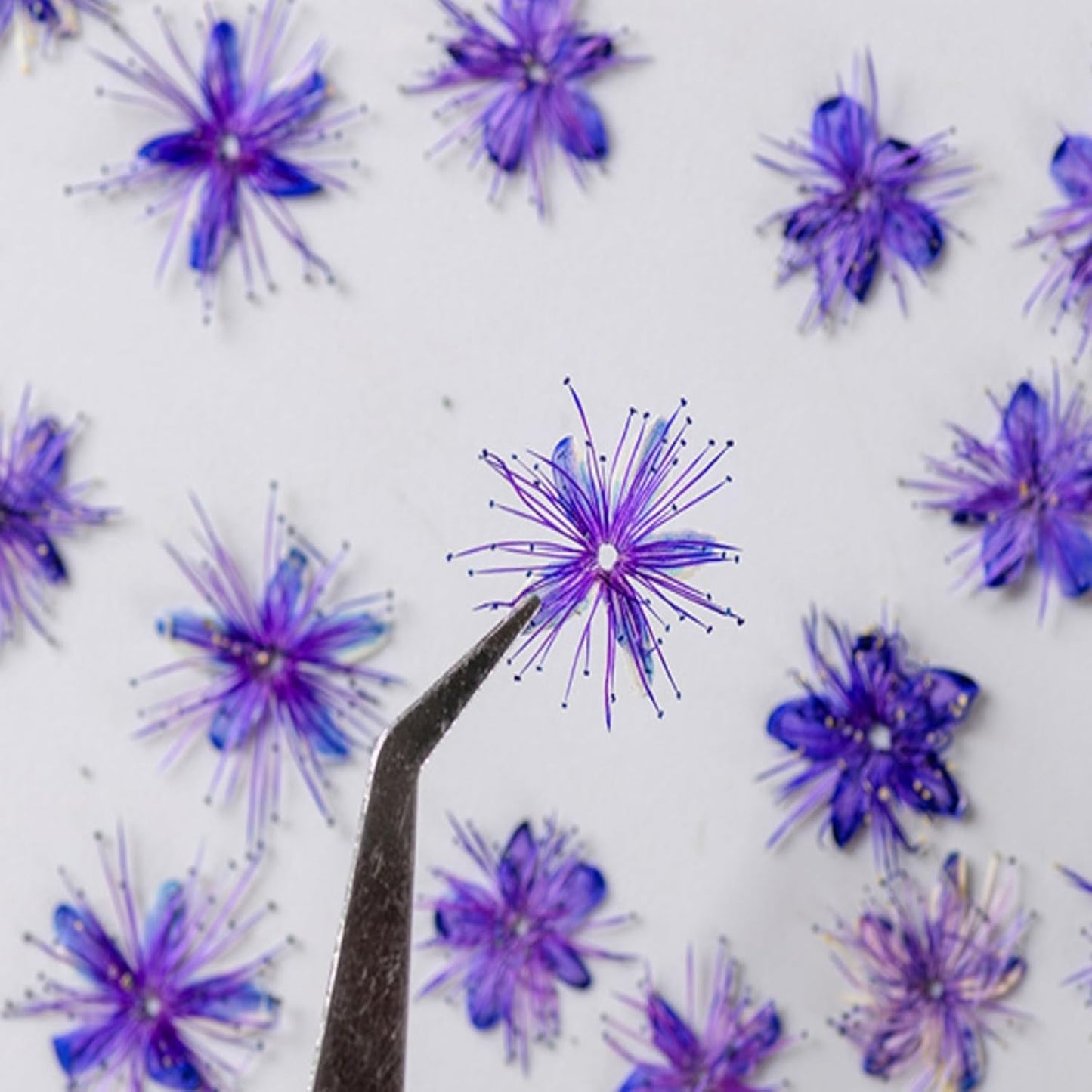 84 Pcs Dried Pressed Flowers for Crafts Resin Art DIY Natural Dry Sandalwood Floral Epoxy Jewelry Real Flower Decor Cakes Phone Cases Candles Handmade Soap Sandalwood