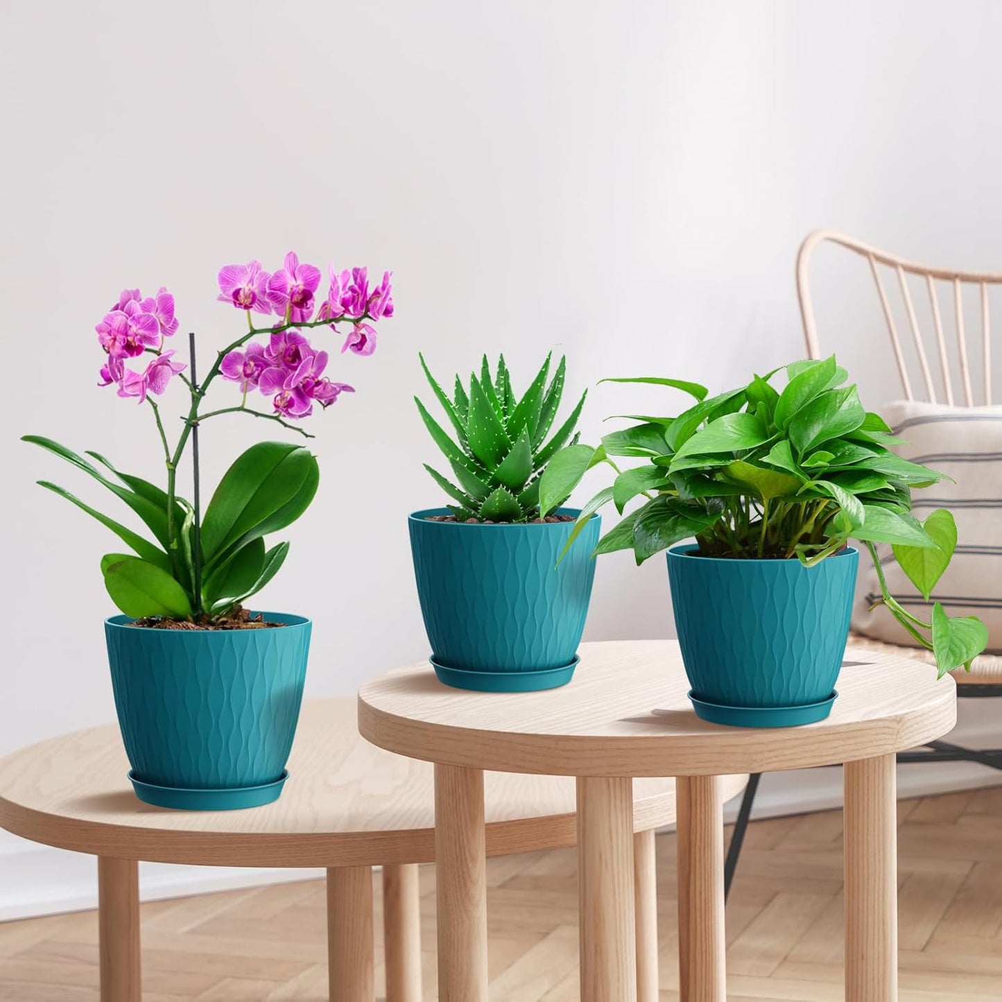 6 inch Plant Pots, 5 Pack Flower Pots with Drainage Holes and Saucers for Indoor Plants, Plastic Planters with Water Ripple for Small Garden House Plants, Nursery Pots for Succulent, Blue Green