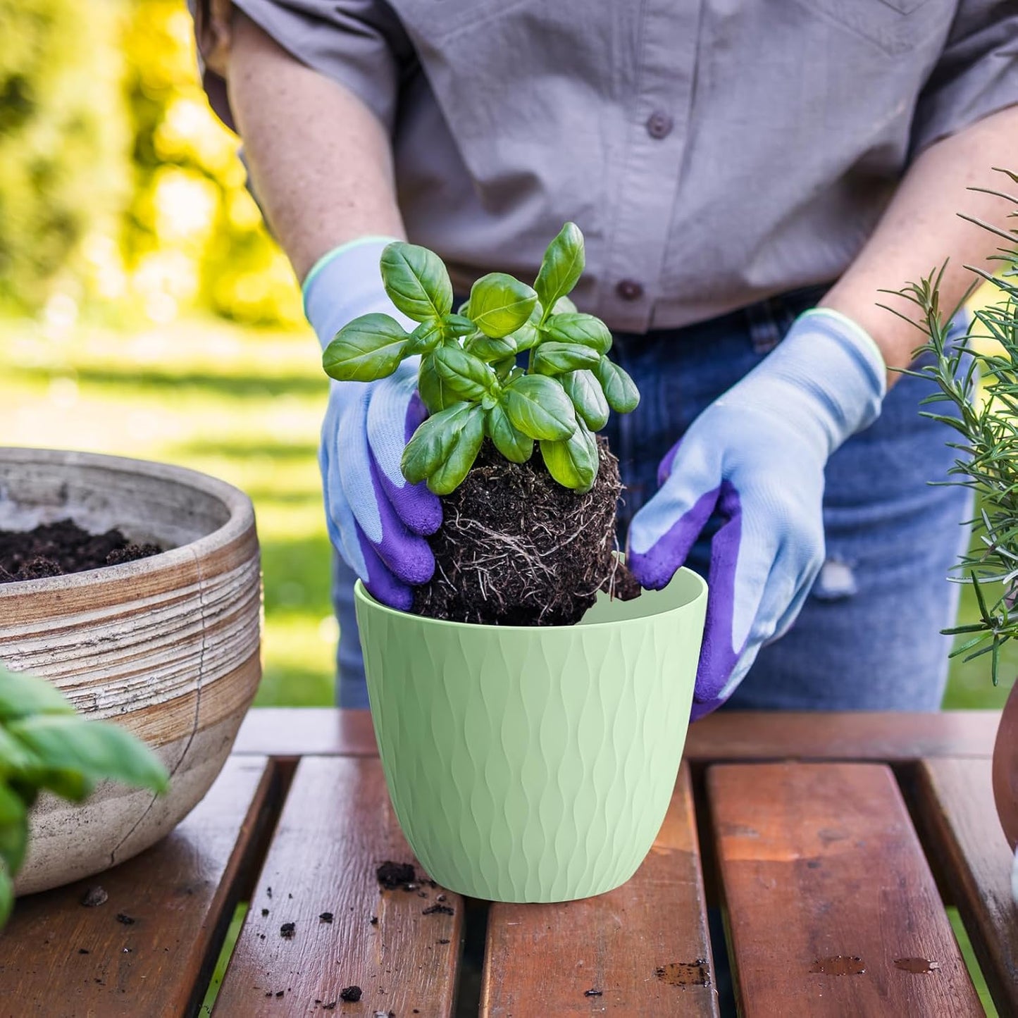 6 inch Flower Pots, 5 Pack Plant Pots with Drainage Holes and Saucers for Indoor Plants, Plastic Planters with Water Ripple for Small Garden House Plants, Nursery Pots for Succulent, Colorful