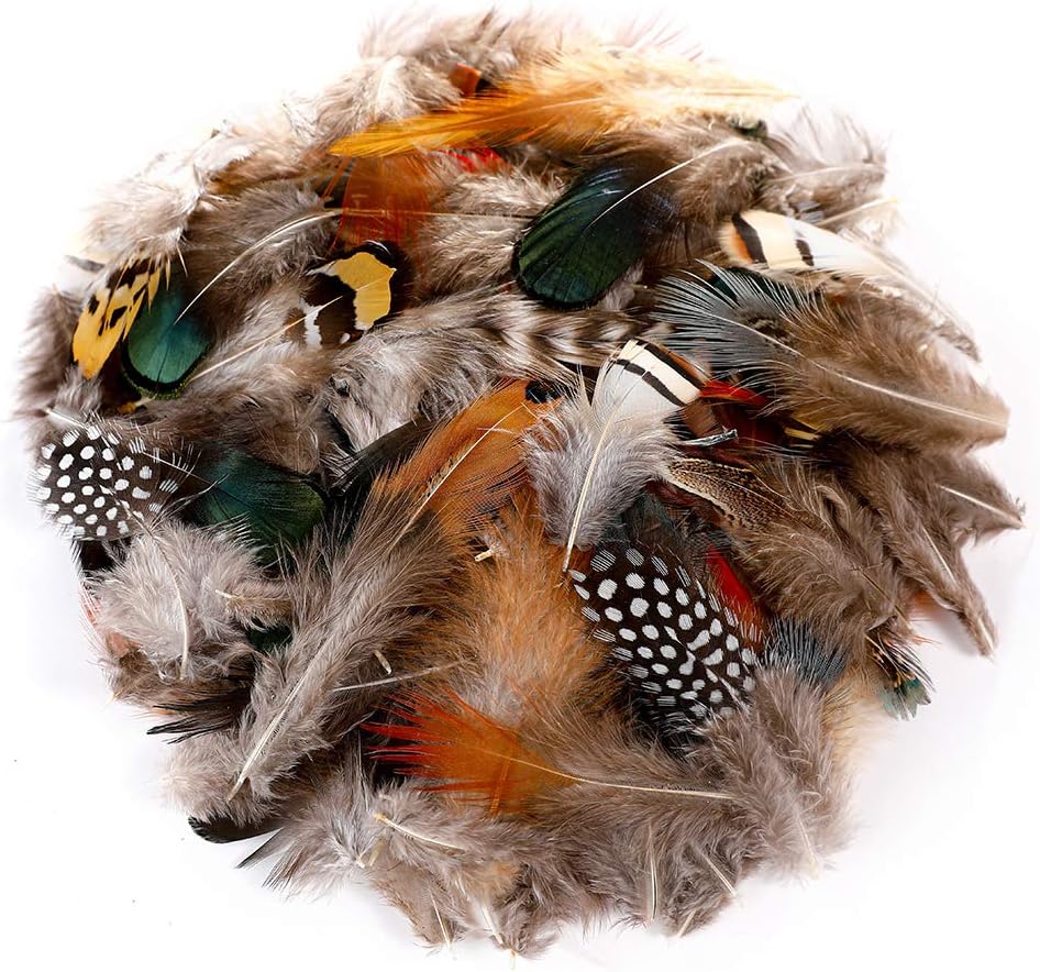 Ballinger 240pcs 12 Styled Natural Feathers Assorted Mixed Feathers for Jewelry and Dream Catcher Crafts Decoration