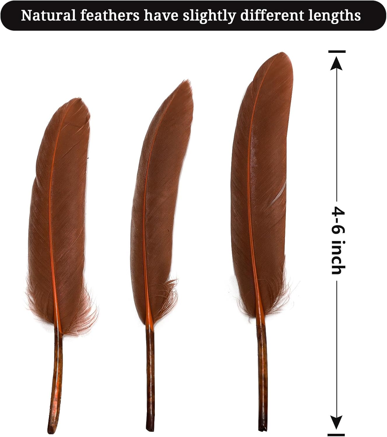 FeelfunFeather 120pcs Coffee Brown Goose Cochettes Feather Natural Bulk 4-6 inch 10-15cm for Wedding Party Christmas Decorations DIY Crafts Goose Cochettes Feather