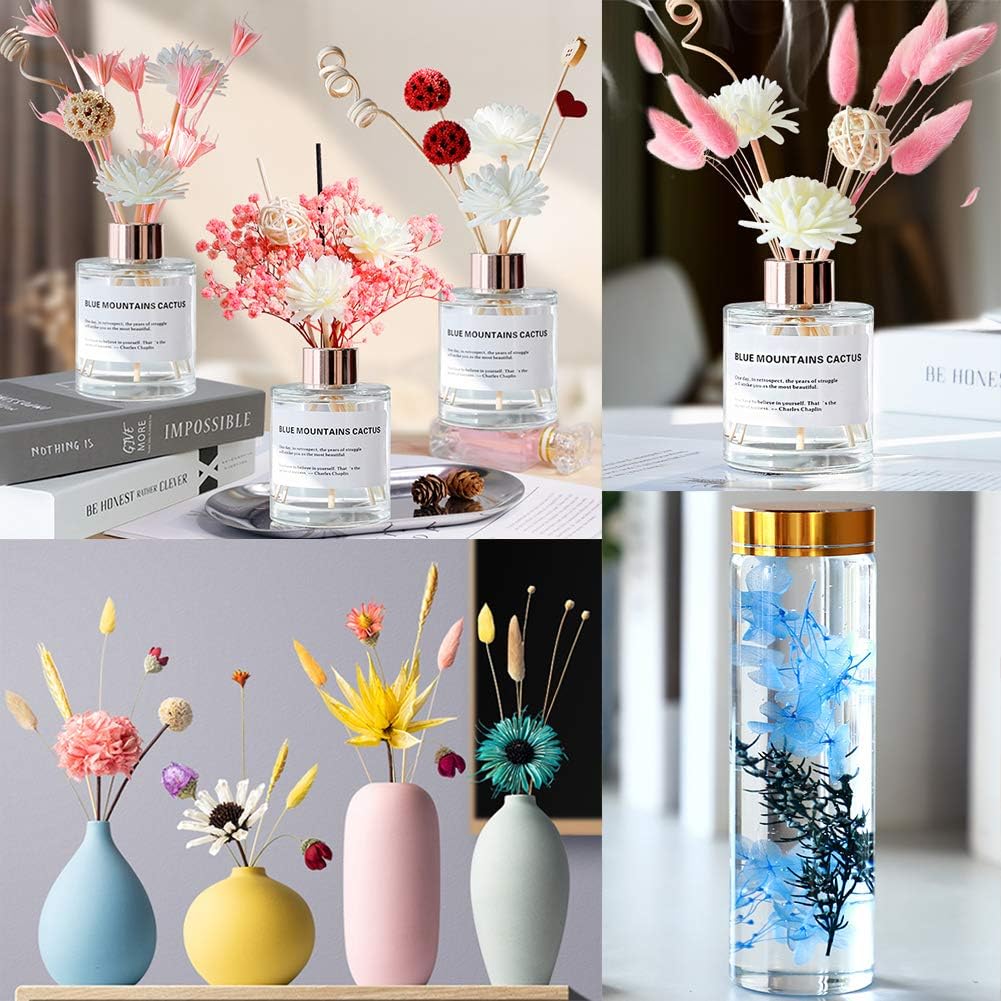 Vignee Real Dried Pressed Leaf Flowers-Multiple Colorful Pressed Flowers Daisies for Craft Resin Jewelry Making Art Craft DIY（White）