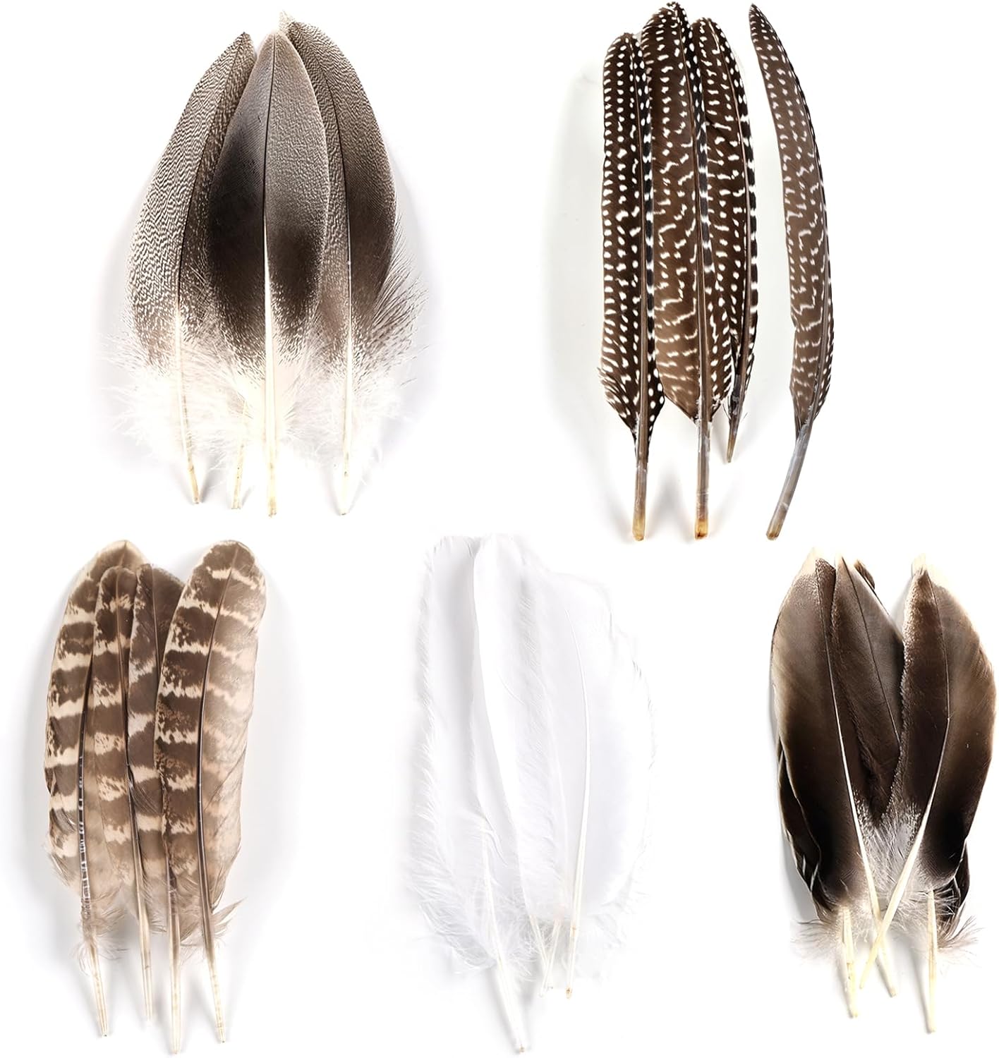 MAOFENG 20pcs Natural Pheasant Feathers Bulk 5 Styles Mixed Feathers Spotted Feathers for Craft DIY Wedding Home Hat Floral Arrangements Holiday Decorations
