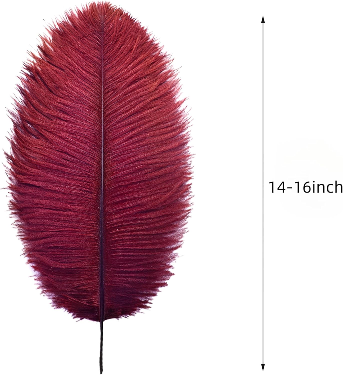 Ballinger Burgundy Large Ostrich Feathers - 12Pcs 14-16inch Large Wine Red Feathers for Vase, Wedding Party Centerpieces and Halloween Home Decor