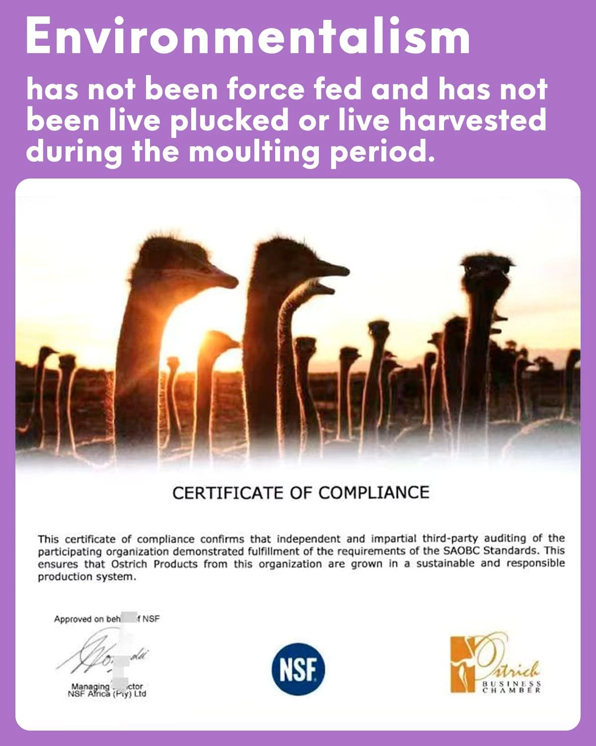 NEWONG 30pcs Light Purple Ostrich Feathers Natural Bulk 9-12in（23-30cm） Vase Craft Wedding Home Party Centerpieces Christmas Day Decoration