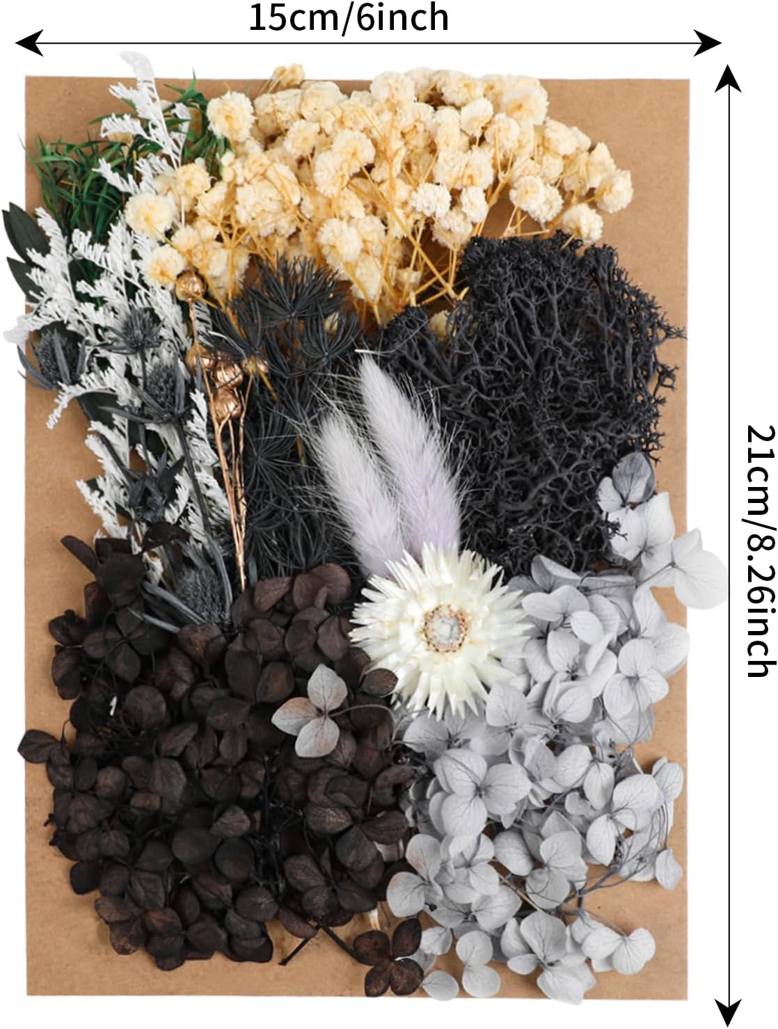 Dried Flowers,Dried Flowers Set for DIY Scrapbook Accessories Flower Arrangements Flower Decoration Wedding Decoration(Black)
