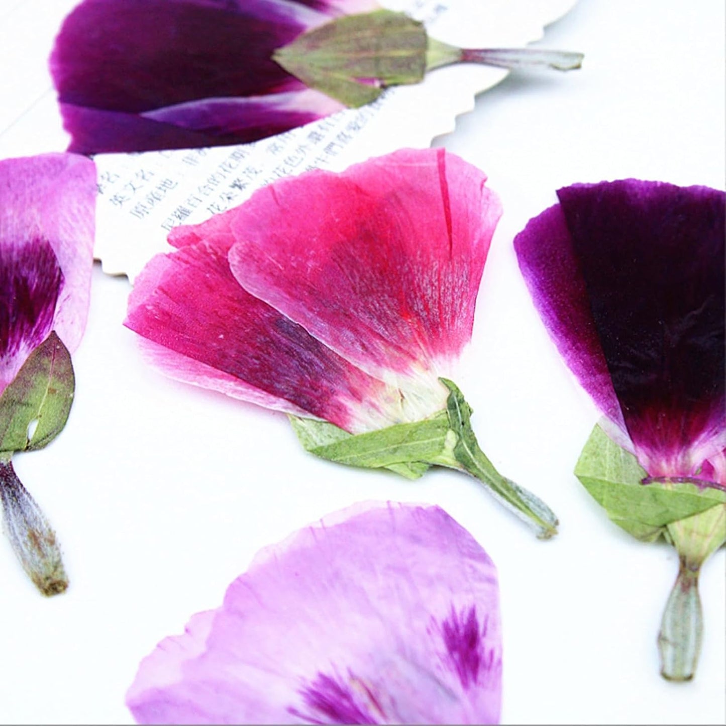 48 Pcs Dried Pressed Flowers for Crafts Art Resin DIY Natural Dry Floral Epoxy Jewelry Real Flower with Leaves Plants Decor Cakes Phone Cases Bookmarks Candles Handmade Soap Farewell