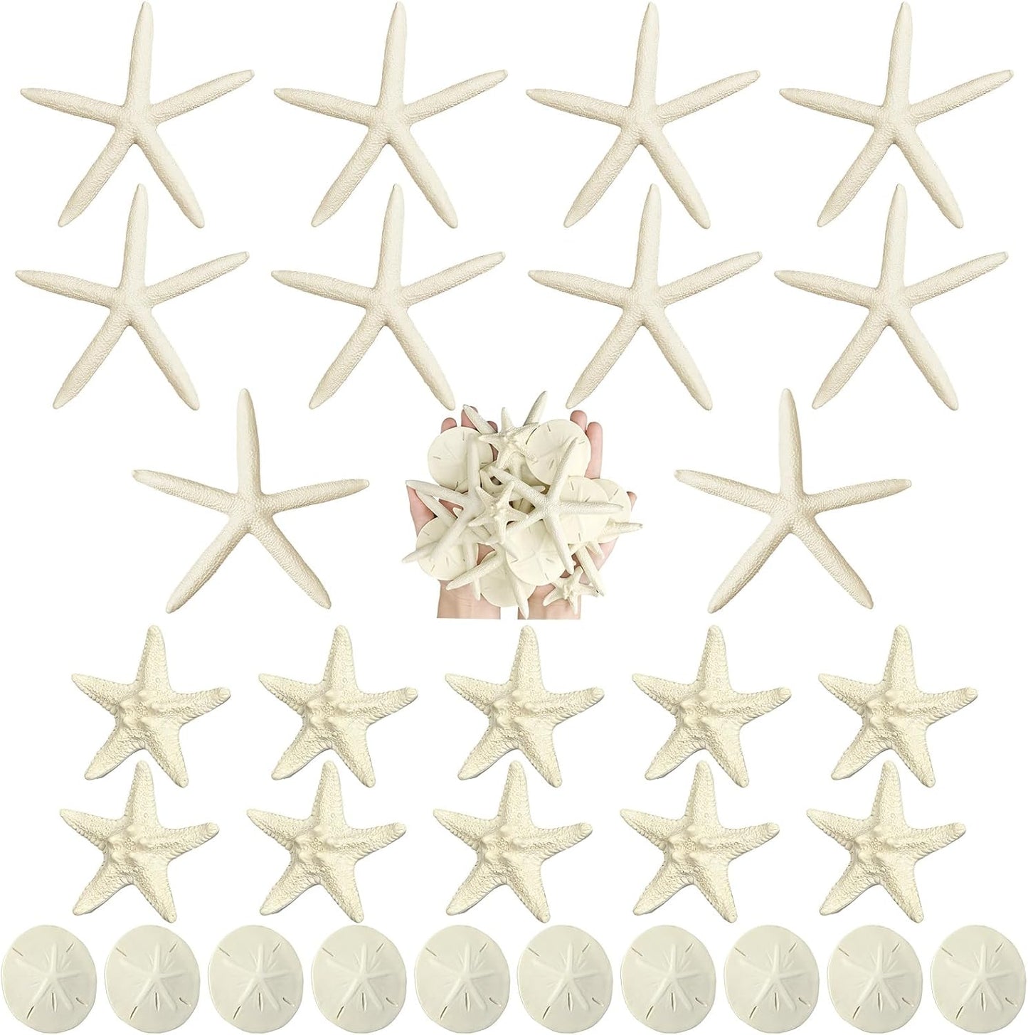 Queekay 15 Pieces Resin Starfish Sand Dollars 2.0 Inch 4.7 Inch Starfish 2.3 Inch Sand Dollars Crafts Ocean Themed Glittered Coastal Decorations for Summer Wedding Christmas Party Decor Supplies