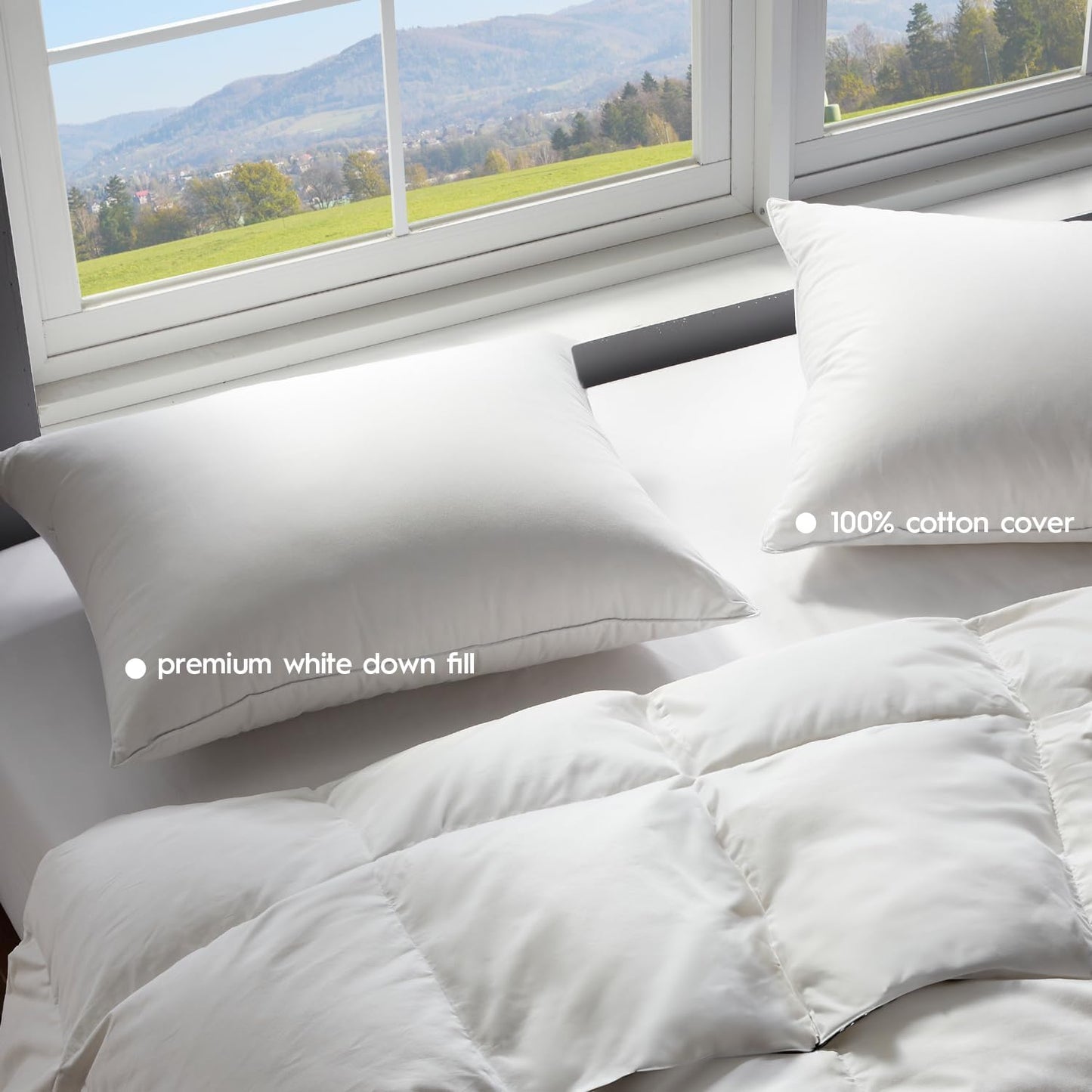 Globon Ultra Soft Down Pillow Standard Size, All Down Filled Bed Pillow for Sleeping, 100% Cotton Shell 500 Thread Count, Soft Hotel Collection Down Feather Pillow 20" x 26" 1 Pack