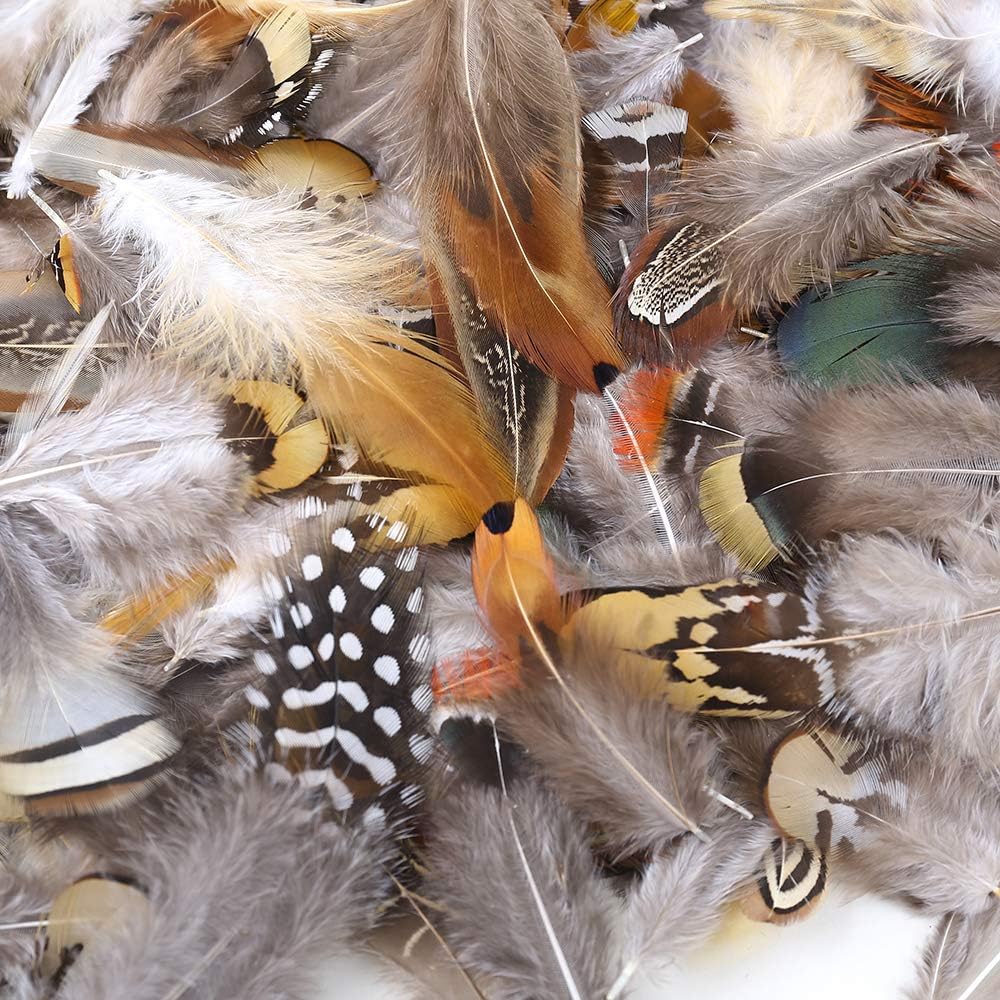 Ballinger 240pcs 12 Styled Natural Feathers Assorted Mixed Feathers for Jewelry and Dream Catcher Crafts Decoration