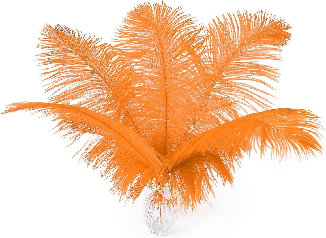 Ballinger Orange Large Ostrich Feathers - 24Pcs 12-14inch Big Feathers for Crafts,Wedding Party Centerpieces and Halloween Home Decor