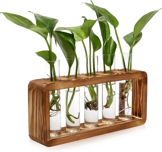 Glass Plant Propagation Station with 5 Test Tubes Colorful Planter Vase Birthday Gifts for Women Mom Plant Lovers with Wooden Stand