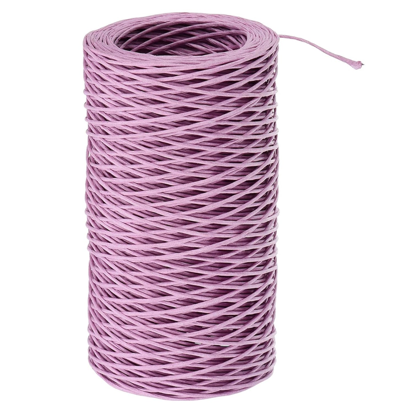 PATIKIL 164 Feet Floral Bind Wire Wrap Twine, 1mm Florist Wire Iron Wire Paper Covered Vine Wrapping Binding Wire for Flower Bouquets, Purple
