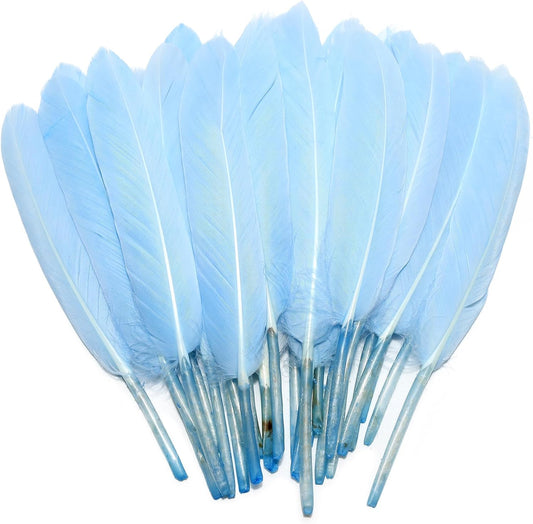 FeelfunFeather 120pcs Sky Blue Goose Cochettes Feather Natural Bulk 4-6 inch 10-15cm for Wedding Party Christmas Decorations DIY Crafts Goose Cochettes Feather
