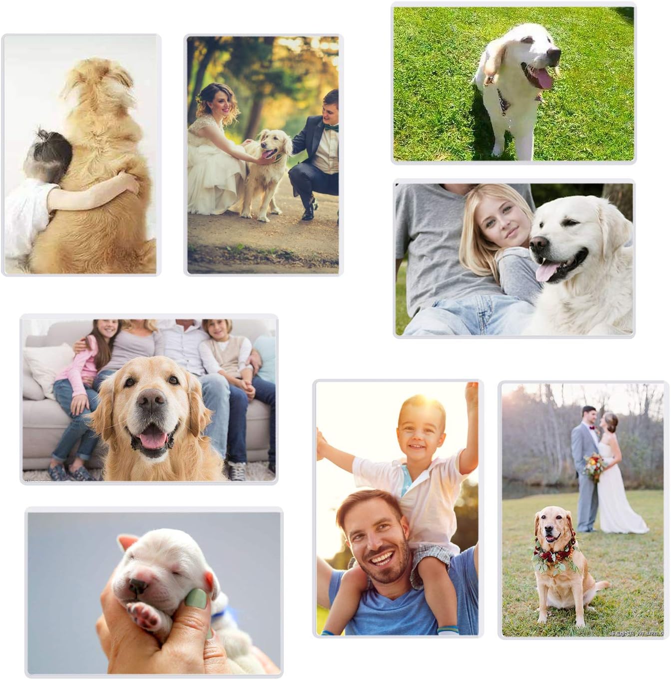 Magicfly Pack of 15 Magnetic Picture Frame with Clear Pocket, 4 x 6 Inches Refrigerator Photo Holder for Fridge Office Cabinet Locker, White