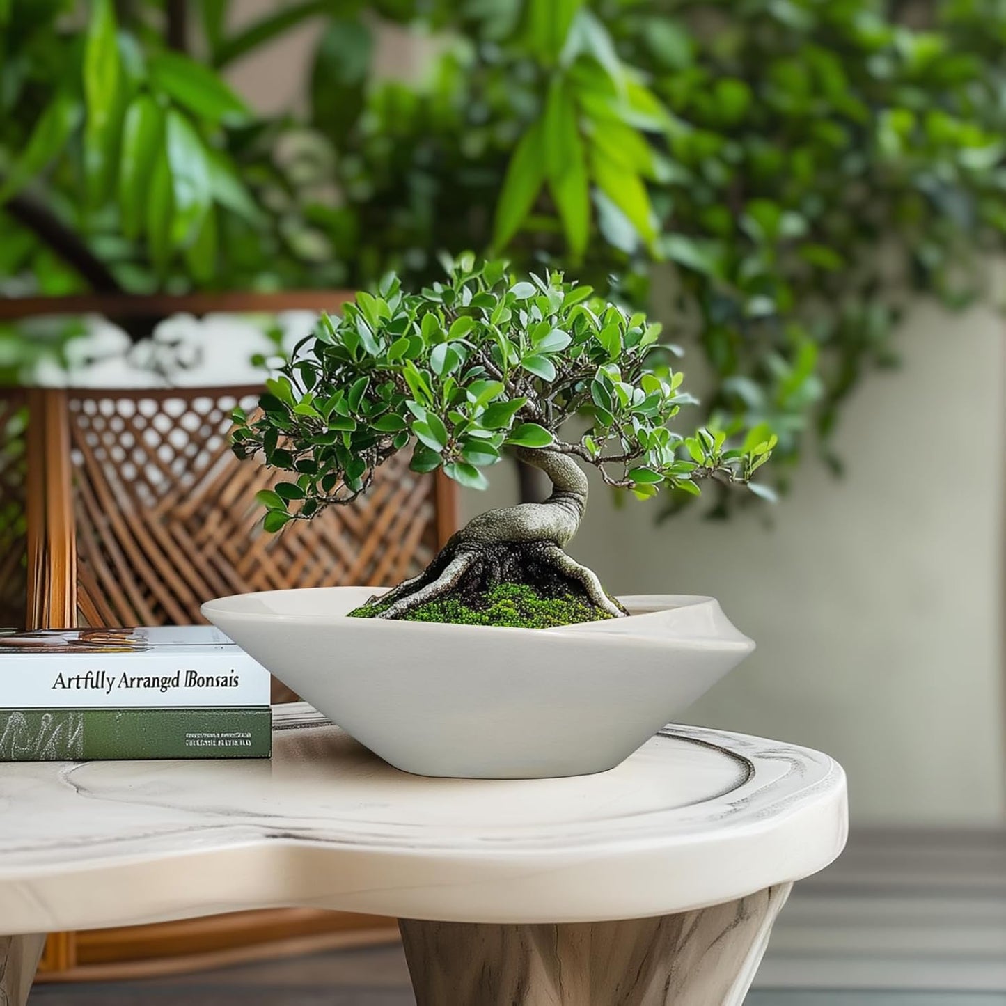 Bonsai Planter Pot - 12 Inch Ceramic Plant Pot for Indoor Plants Outdoor Decorative Flower Pot Succulent Planter with Drainage Hole Gray