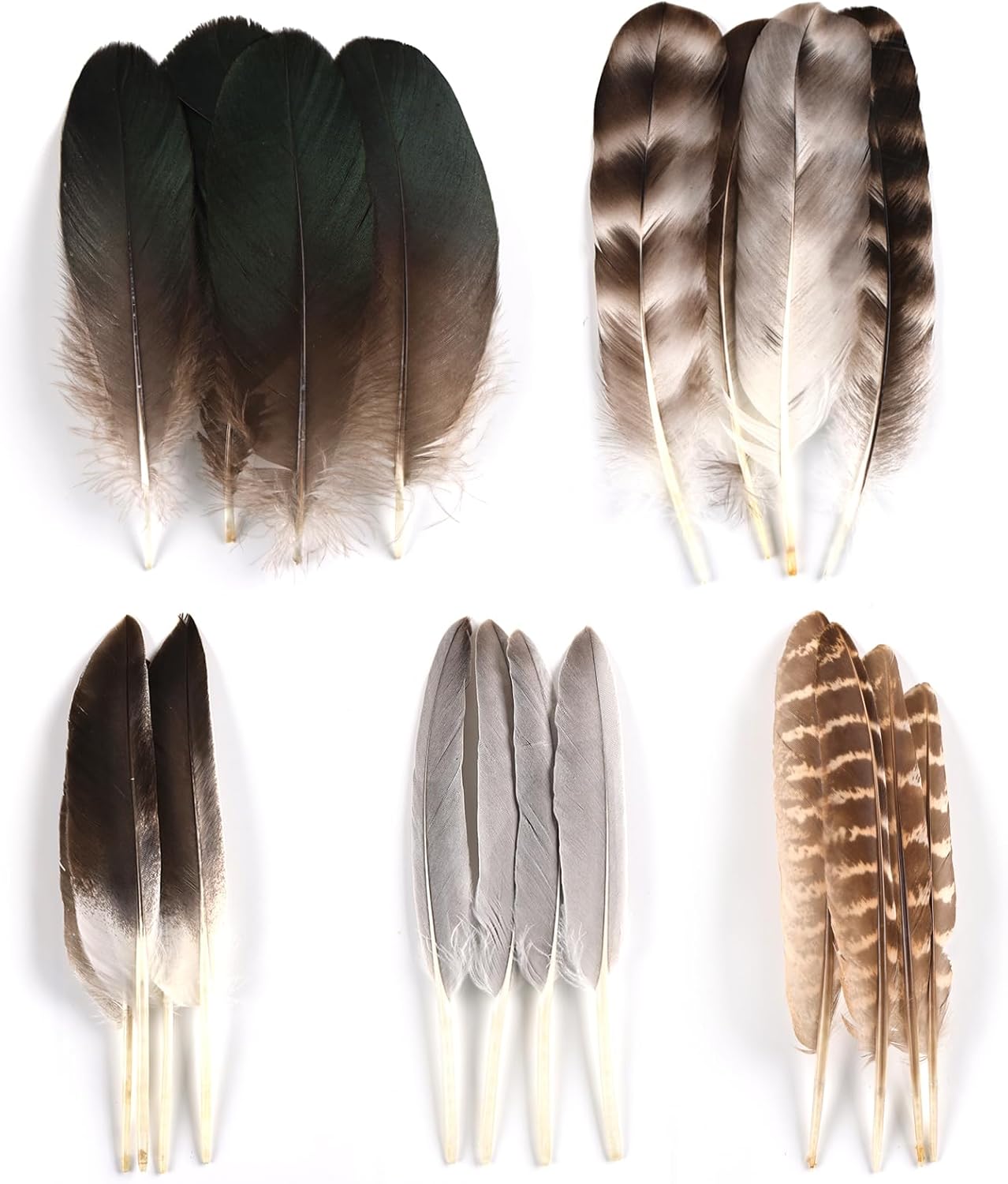 MAOFENG 20pcs Natural Pheasant Feathers 5 Styles 5-9 inches 13-23cm for DIY Craft Wedding Home Party Hat Floral Arrangements Halloween Decorations