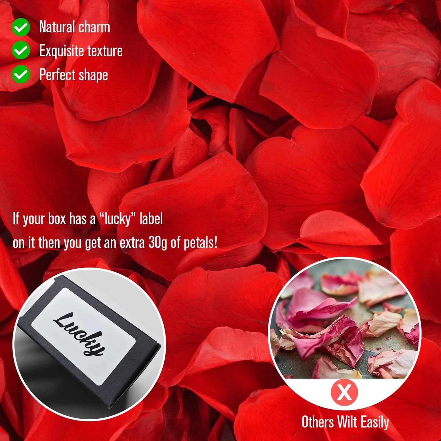 Rosaura Real Preserved Rose Petals 50g(1.75oz) for Wedding Decor, Romantic Nights - Includes Bonus Lucky Surprise Pack! (red)