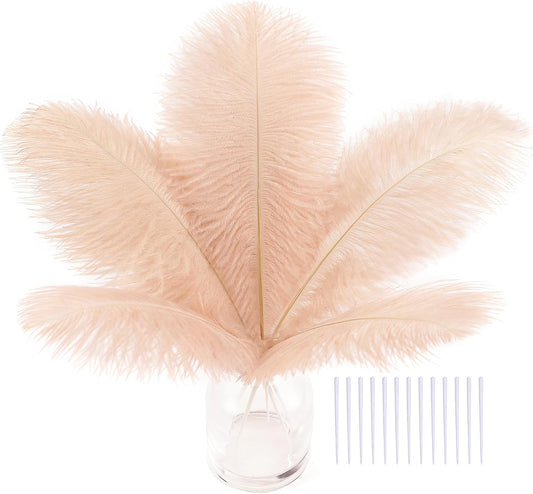 SOGUGOM Light Salmon Ostrich Feathers - 30PCS 8-10 inch Ostrich Feathers Kit for Centerpieces, Kindergarten Crafts, Dream Catchers and DIY Projects(Light Salmon)