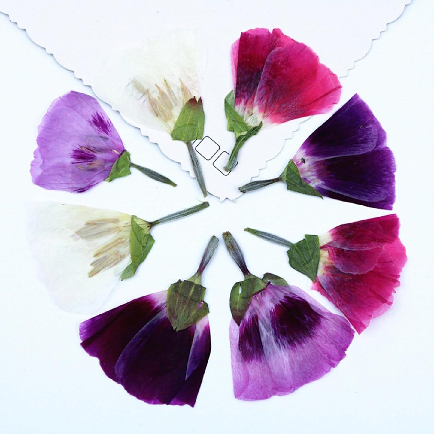 48 Pcs Dried Pressed Flowers for Crafts Art Resin DIY Natural Dry Floral Epoxy Jewelry Real Flower with Leaves Plants Decor Cakes Phone Cases Bookmarks Candles Handmade Soap Farewell