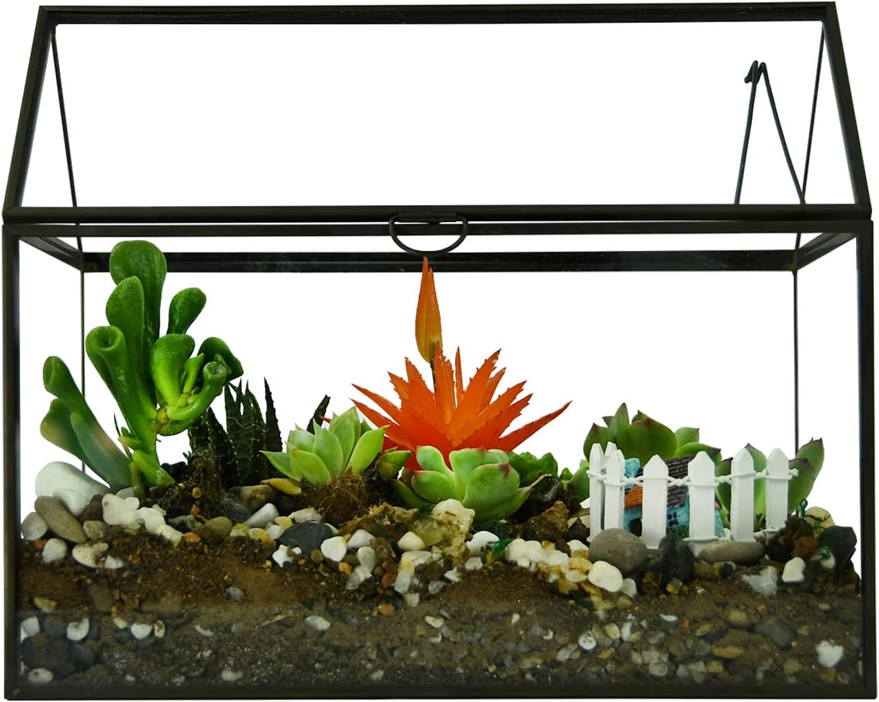 Black 1 Large Glass Plant Terrarium Kit with Lip Greenhouse for Succulents