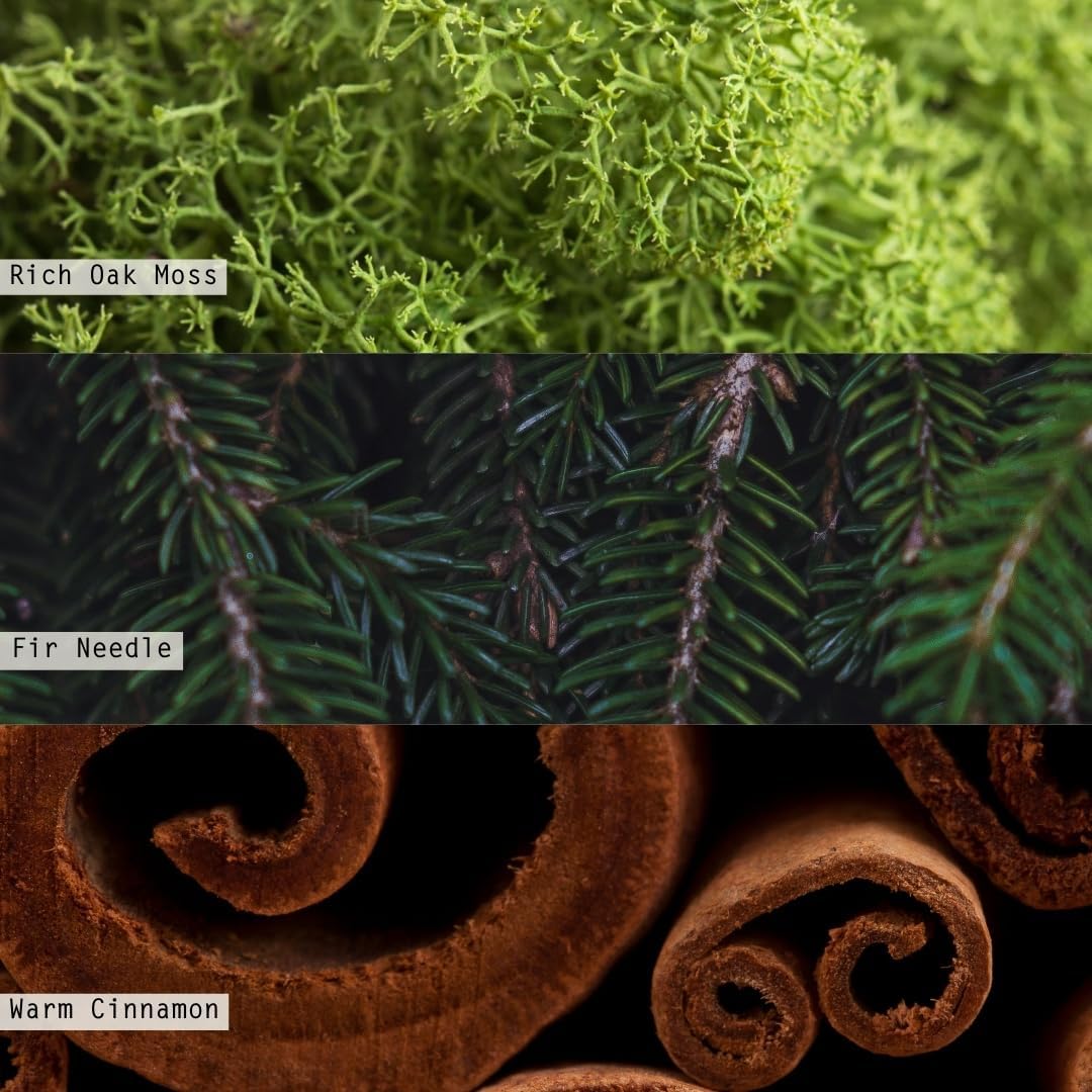 ILLUME Small Boxed Crackle Glass Candle, Balsam & Cedar