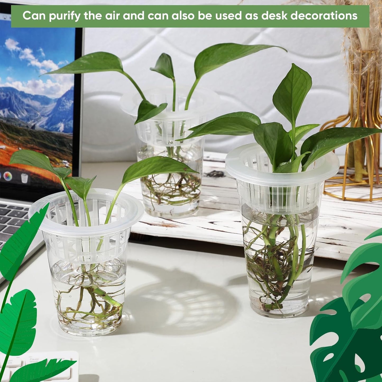 Baderke 35 Pack Plastic Plant Propagation Station Desktop Terrariums Plant Tabletop Vase with Hydroponic Baskets for Indoor Home Office Desktop Decor(4.25'', 4.57'', 5.47'')