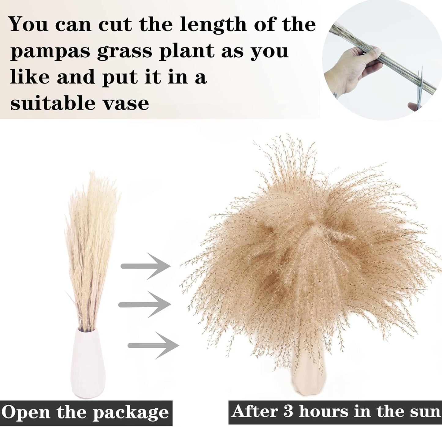 Natural Dried Pampas Grass Decor, White Pampas Grass， Bunny Tails Dried Flowers, Reed Grass Bouquet for Wedding Boho Flowers Home Table Decor, Rustic Farmhouse Party (100 in Total )