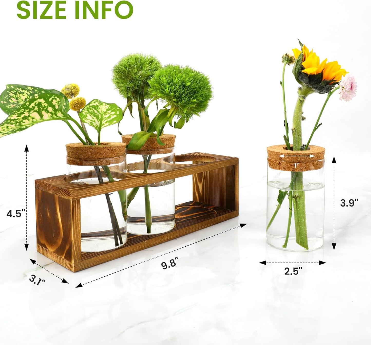 Propagation Stations, Plant Terrarium for Indoor Hydroponic Decor, Glass planters for Fresh Cuttings, Unique Birthday Gifts for Women & Mom, Home/Office Decor