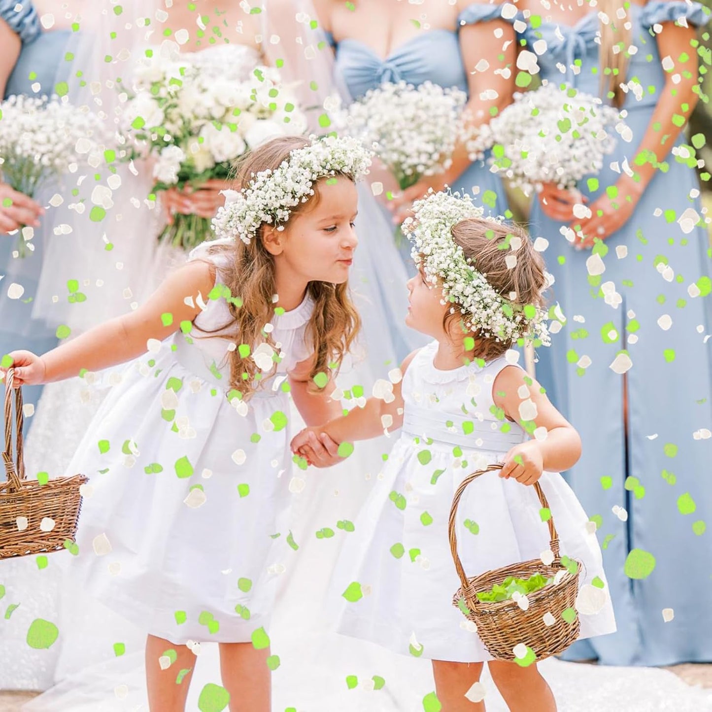 Real Dried Hydrangea Flower Petals -1.06Oz Real Natural Preserved Petals for Wedding, Party Confetti, Romantic Night, Proposal Decor, Handcrafts (Lime Green & White)