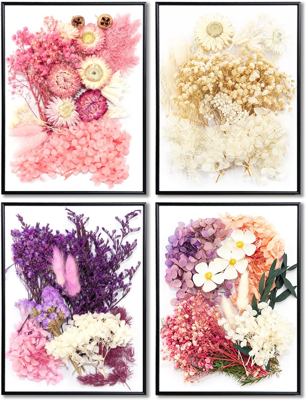 Vignee Real Dried Pressed Leaf Flowers-Multiple Colorful Pressed Flowers Daisies for Craft Resin Jewelry Making Art Craft DIY（White）