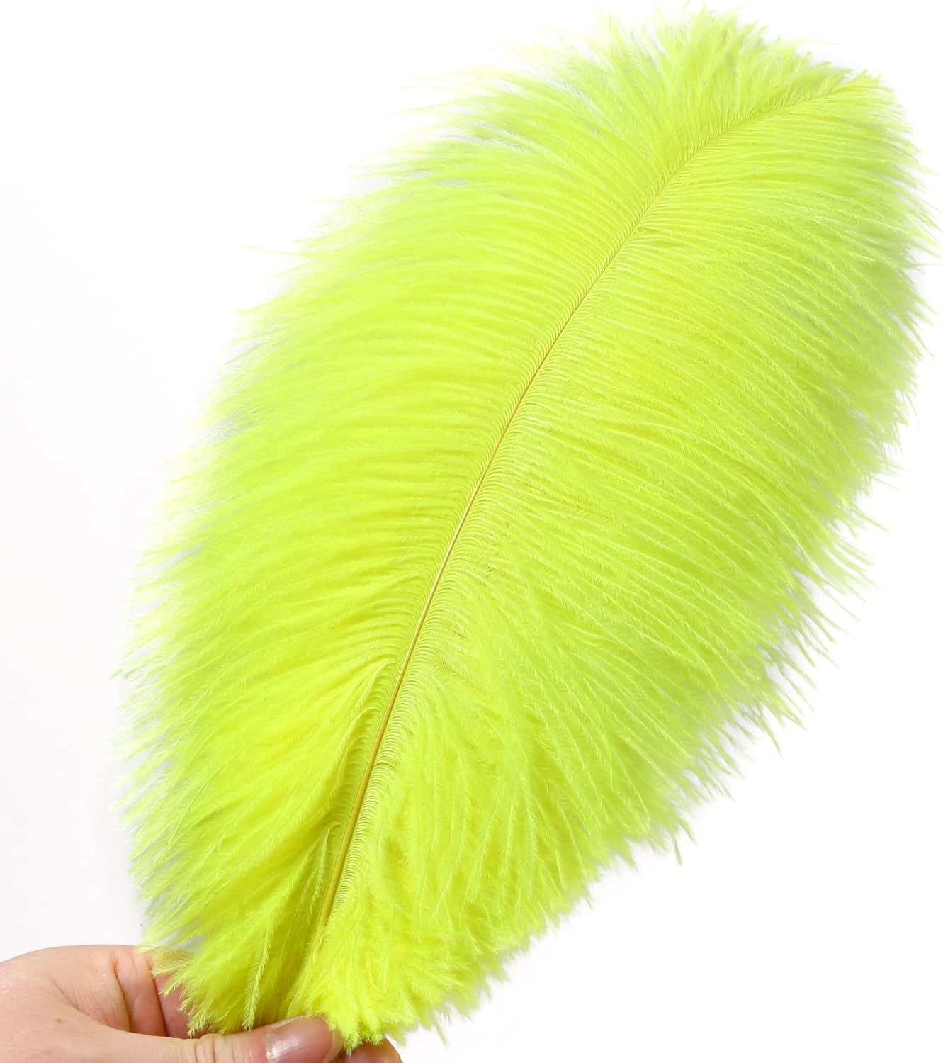 Ballinger Fluorescent Yellow Ostrich Feathers - 12Pcs 12-14inch Large Feathers Bulk for Vase, Party Centerpieces, Mardi Gras Decorations and Home Decor