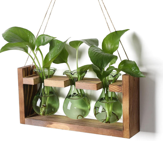 Plant Propagation Station Plant Terrarium Unique Birthday Gifts for Women Home Office Decor Planter with Wooden Stand - 3 Bulb Glass Vase