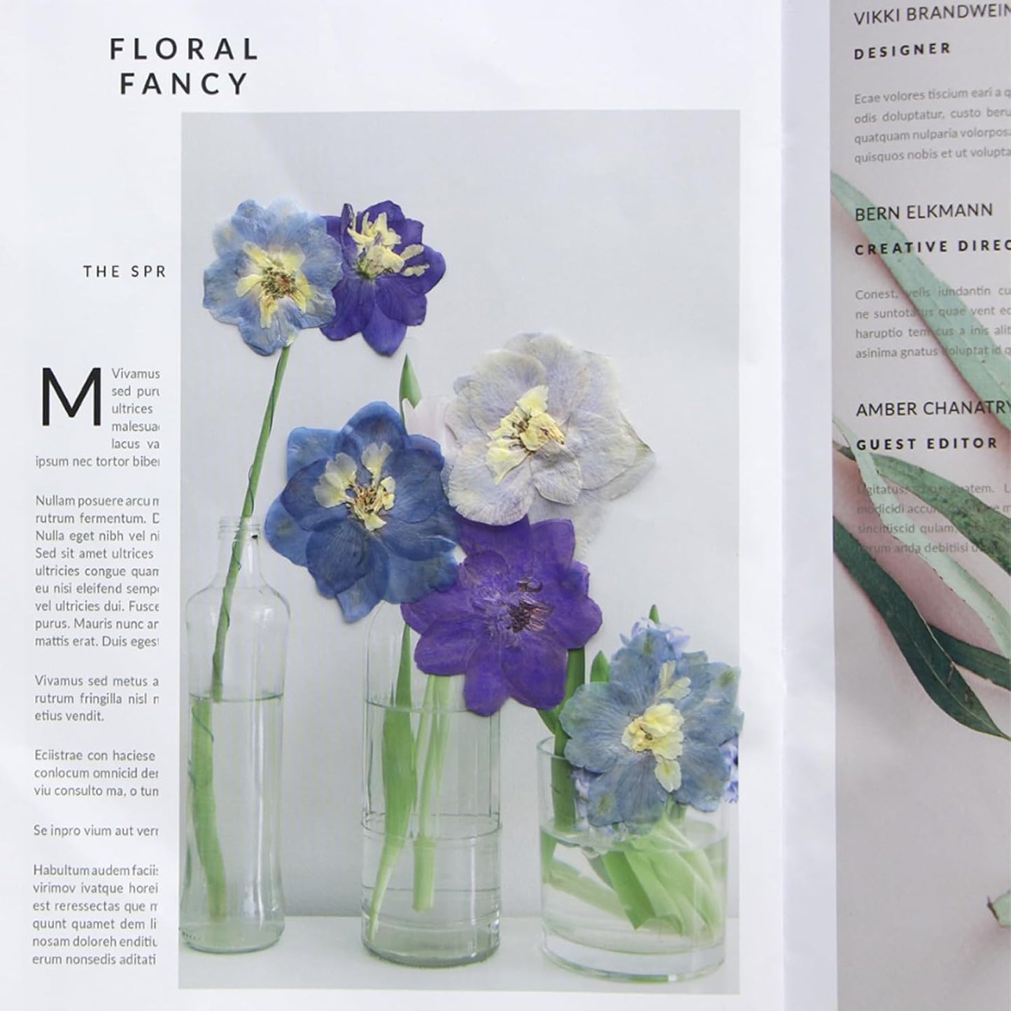 48 Pcs Dried Pressed Flowers for Resin DIY Art Crafts Natural Dry Sakura Larkspur Floral Epoxy Jewelry Real Flower Decor Cakes Phone Cases Candles Handmade Soap