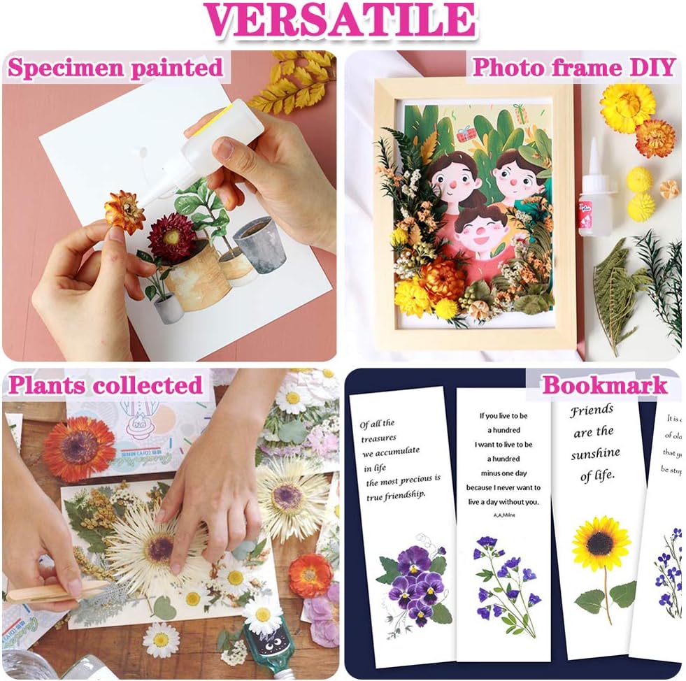 Vignee Real Dried Pressed Leaf Flowers-Multiple Colorful Pressed Flowers Daisies for Craft Resin Jewelry Making Art Craft DIY（White）