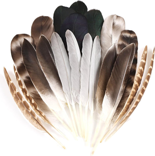 MAOFENG 20pcs Natural Pheasant Feathers 5 Styles 5-9 inches 13-23cm for DIY Craft Wedding Home Party Hat Floral Arrangements Halloween Decorations