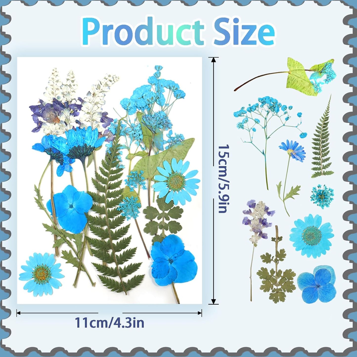 120Pcs Dried Pressed Flowers for Resin Mould Dry Flower Real Leaves Bulk with Tweezers Natural Herbs Kit for Scrapbooking DIY Art Crafts Candle Jewelry Making Nails Floral Decoration(Multicolor)