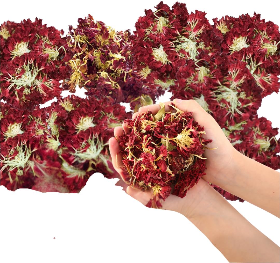 Dried Flower Carnation Biodegradable Confetti - Real Flower Petals for Weddings, Flower Girl Toss, Wedding Send Off Ideas, Party Table Decoration | Boxed - 8oz (0.5lbs)