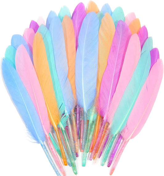 FeelfunFeather 120pcs Macaron Goose Cochettes Feather 4-6 inch 10-15cm Bulk Natural for Wedding Party Halloween Decorations DIY Cosplay Gothic Costumes Crafts